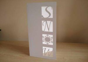 Snow Dl Card