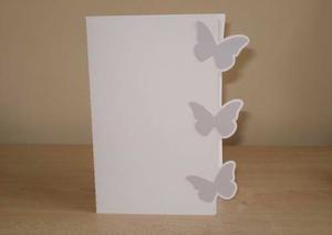 Butterfly Edge