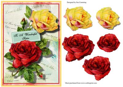 A Rose for a Rose - Sister