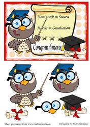 Graduating Owl