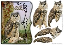 Birthday Owl