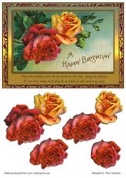 As Sweet as the Rose