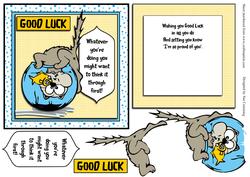 Wishing You Luck