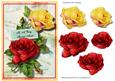 A Rose for a Rose - Aunt