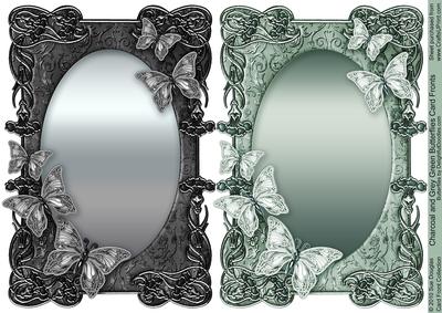 Charcoal and Grey Green Butterflies Card Fronts