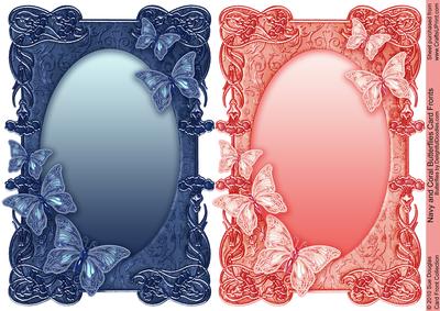 Navy and Coral Butterflies Card Fronts
