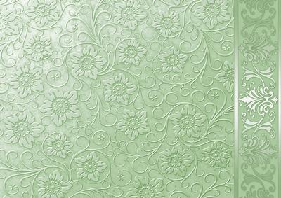 Pale Green Embossed Floral with Border Background