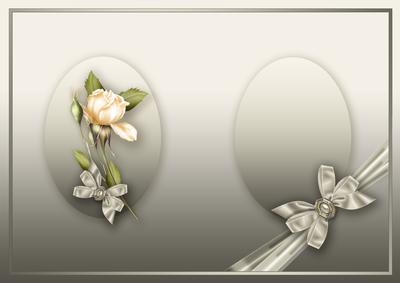 Cream Roses Bouquet in a Ribbon Wrap Matching A5 Insert