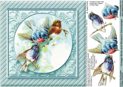 Vintage Birds and Blossom 8in x 8in Decoupage