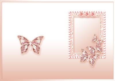 Peach Butterflies Pearls and Lace Matching A5 Insert