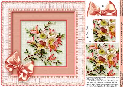 Springtime Flowers in a Lace Frame Pyramage 8in x 8in