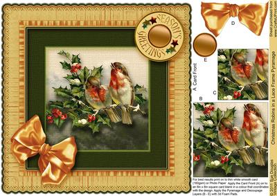 Christmas Robins in a Lace Frame Pyramage 8in x 8in