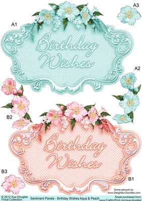 Sentiment Panels Birthday Wishes Aqua and Peach