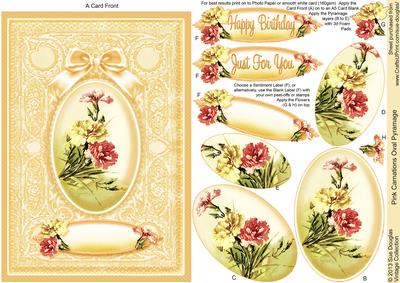 Pink Carnations A5 Oval Pyramage