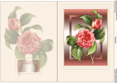 Camellias Quick Card