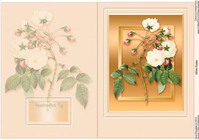 White Roses Quick Card