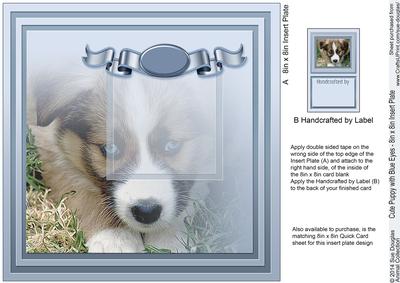 Cute Puppy with Blue Eyes Matching 8in x 8in Insert Plate