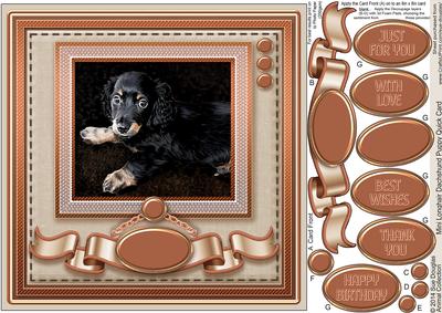 Mini Longhair Dachshund Puppy 8in x 8in Quick Card