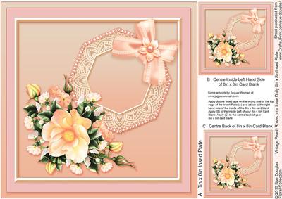 Vintage Peach Roses on a Lace Doily Matching 8inx8in Insert