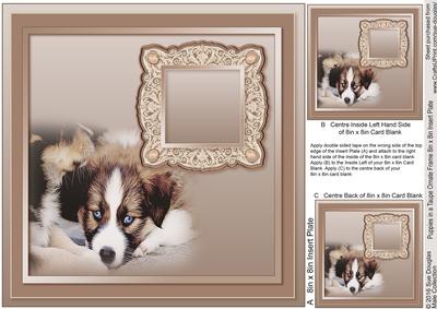 Puppies on a Taupe Ornate Frame Matching 8 x 8 Insert Plate