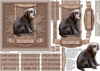 Chocolate Labrador Puppy on a Taupe Doily 6in x 6in Decoupag