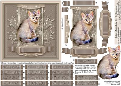 Cat on a Taupe Doily 6in x 6in Decoupage