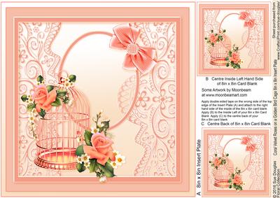 Coral Velvet Roses on a Golden Bird Cage Matching 8x8 Insert