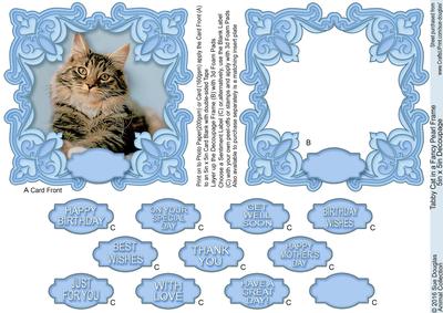 Tabby Cat in a Fancy Pearl Frame 5in x 5in Decoupage