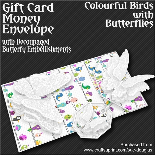 Colourful Birds with Butterflies Card/Money Envelope Mini Kit