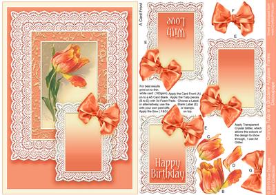 Orange Tulip in a Broderie Anglaise Frame, Decoupage