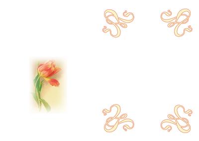 Orange Tulip in a Broderie Anglasie Frame Matching A5 Insert