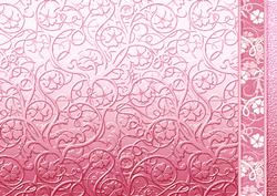 Pink Swirls and Flowers Embossed with Border