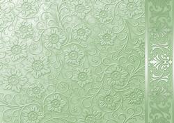 Pale Green Embossed Floral with Border Background