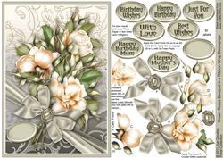 Cream Roses Bouquet in a Ribbon Wrap A5