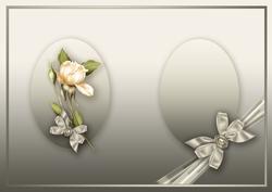 Cream Roses Bouquet in a Ribbon Wrap Matching A5 Insert