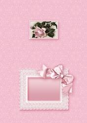 Pale Pink Rose in a Broiderie Anglaise Frame Matching A5 Ins