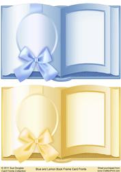 Blue and Lemon Book Frame Card Fronts