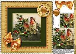 Christmas Robins in a Lace Frame Pyramage 8in x 8in