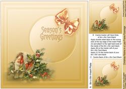 Christmas Robins in a Lace Frame - 8in x 8in Insert Plate