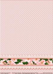 Matching Backing Paper for Sentiment Panels Peach
