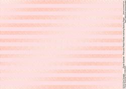 Floral Surprise Pink and Peach Roses Matching Backing Paper