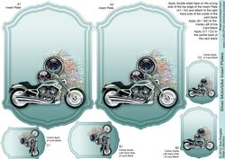 Silver Motorbike Insert Plates
