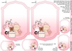 New Baby Girl Insert Plates
