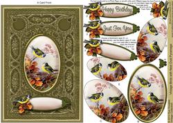 Vintage Birds with Nest A5 Oval Pyramage