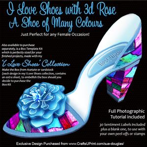 I Love Shoes Kit a Shoe of Many Colours with 3D Rose