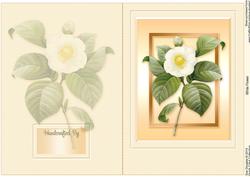 White Flower Quick Card