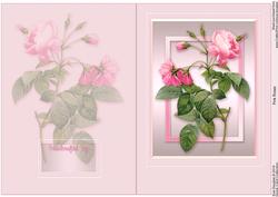 Pink Roses Quick Card