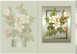 Dog Roses Quick Card