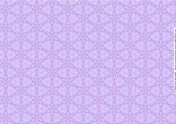 Lilac Roses in a Silver Frame Backing Paper 3 Sheet