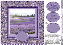 Lavender Fields in a Purple Gravel Frame 8in x 8in Quick Car